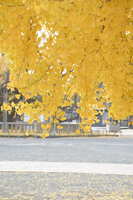https://images.plurk.com/1sQVTCJ1WezD7AGYga9jRQ.jpg