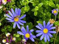 https://images.plurk.com/1sQyGnxlA6KGXQoqGyOBzv.jpg