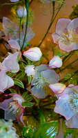https://images.plurk.com/1sWcDdRHWsaE4YTFeoWuTz.jpg
