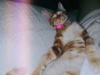 https://images.plurk.com/1saUComufz8340aCGYUZmu.jpg