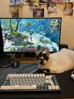 https://images.plurk.com/1sbg6LxnMN28mAZAvDrzO6.jpg