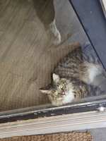 https://images.plurk.com/1sqsL9veWe9XXhzD7mOrl3.jpg