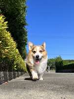 https://images.plurk.com/1ssBLAX1wzPVqPcSbfRCZr.jpg