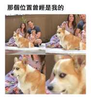 https://images.plurk.com/1sw28qVZ5M7mbdzbHp1uek.png
