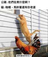 https://images.plurk.com/1t6itAHKCzHGbtzZl0Uh1w.jpg