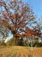 https://images.plurk.com/1t8V73GloRISWPdR3Nj391.jpg