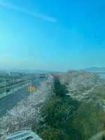 https://images.plurk.com/1tNQKGUu7GjoKGizYQ4LhP.jpg