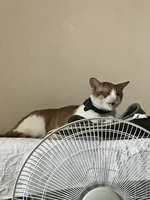 https://images.plurk.com/1tZalPKsxJctKBoWhiO8El.jpg