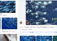 https://images.plurk.com/1trcXMFr5MzjhQGNceZ2Bo.png