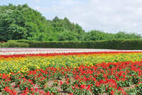 https://images.plurk.com/1ttSfkgO53tjoQSesi3FRW.jpg