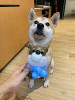 https://images.plurk.com/1tycI1fFvmkvqkbERoX2mZ.jpg
