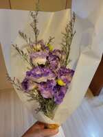 https://images.plurk.com/1u0KK6ZinC8oQx4LTpbGSV.jpg