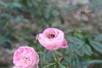 https://images.plurk.com/1u5mU9SdCL1bNeEdJ4NyT3.jpg