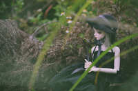 https://images.plurk.com/1uJdN5rsPL5qS3FEvv84Sw.jpg