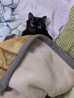 https://images.plurk.com/1uVZcDjk4B3GJFXrLCDYw1.png