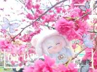 https://images.plurk.com/1uYTECDdYa8QfuNMiOr06P.jpg