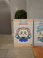 https://images.plurk.com/1uZ3nOAKZ2p9YnuJCCUmQj.jpg