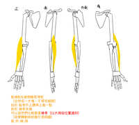 https://images.plurk.com/1ubOmXDCoKFKQWqp7P33GL.jpg