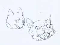 https://images.plurk.com/1ubSx6VDCfuHyuXbqQFTi0.jpg
