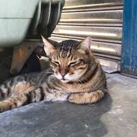 https://images.plurk.com/1ufIj9TzTw95s1L4OORrji.jpg