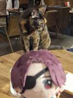 https://images.plurk.com/1uha1Ue3yWlWzQInt1K9NR.jpg