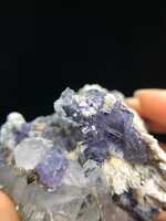 https://images.plurk.com/1unboYDsu4lSnKvhnvbtsG.jpg