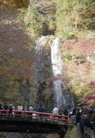 https://images.plurk.com/1ur49Gvi5Mt9QQf599B0IW.jpg