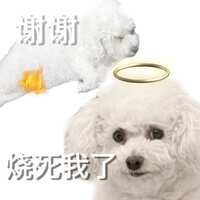 https://images.plurk.com/1usHaUNERTyNnYkyVvp3Ya.jpg