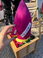https://images.plurk.com/1usUaQdxGJwphLA05EzZ7w.jpg