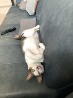 https://images.plurk.com/1utvC4gYHckbin16D5ZDoF.jpg