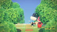 https://images.plurk.com/1v5GDheZyKC2lM8py7KK8h.jpg