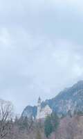 https://images.plurk.com/1v5rc2RBxRbebIq4afZHR3.jpg