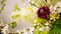 https://images.plurk.com/1vAIdH56vYRHsqr2wW0vra.jpg