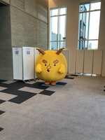 https://images.plurk.com/1vBWGX3EpCWdhtJFVbcUjJ.jpg