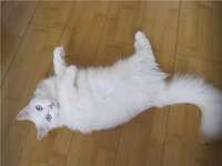 https://images.plurk.com/1vH5ilOxQP788MRv9rxYNl.jpg
