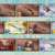 https://images.plurk.com/1vJpBmggVnYt2WhNa8sC4A.png