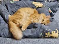 https://images.plurk.com/1vMbdvM8giIN2t96sGvV0v.jpg