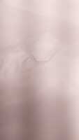 https://images.plurk.com/1vNgIWP6wTW3xq3UBLe7X6.jpg