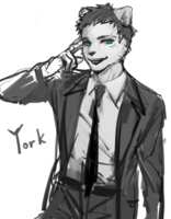 https://images.plurk.com/1vXCT5a2elAuD4mrNyiBcP.png
