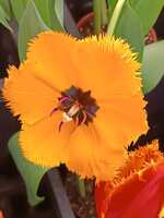 https://images.plurk.com/1vYwV3yED18PRurpM689M3.jpg