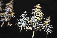 https://images.plurk.com/1ve40naB6386HmRjF4TCDv.jpg