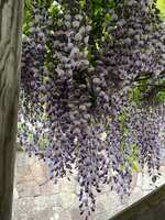 https://images.plurk.com/1vggkGMOU7i2XoPS9fdGsO.jpg