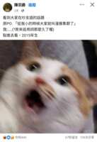 https://images.plurk.com/1vqOVWVtgfn8RQKlpnflv.png