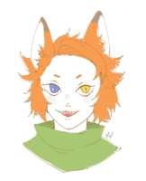 https://images.plurk.com/1vuJJPemWzETfTTDWU1sYV.png