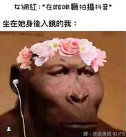 https://images.plurk.com/1vyIjOVA8bhoVoVqRX4Oyy.jpg