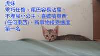 https://images.plurk.com/1wMaGZLpnqMe2GpDjyme5J.jpg
