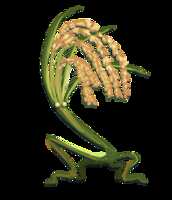 https://images.plurk.com/1wOaseVbUtsYj8ZYfBs7C2.png