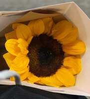 https://images.plurk.com/1wQ1hfg8lcg1HO16nTweWy.jpg