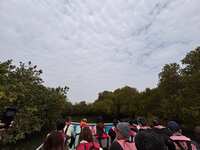 https://images.plurk.com/1whe3ObaexfozmT2DRSH4D.jpg