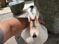 https://images.plurk.com/1wiMNqXrMkzRaXMIcYU7O8.jpg